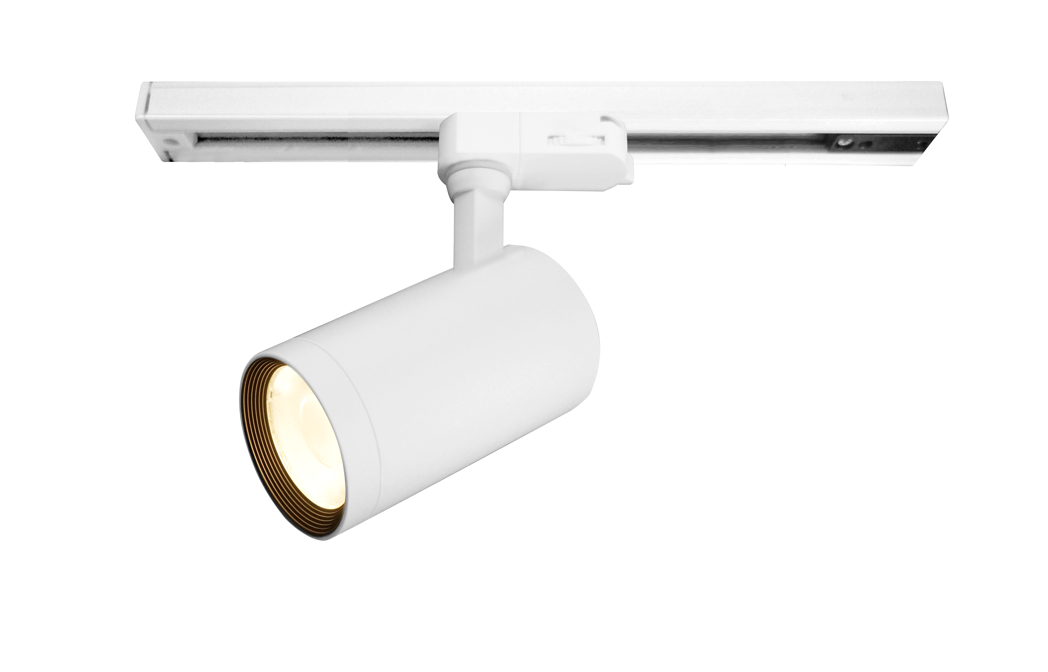 AMMA Build in Driver Tracklight